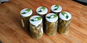Ogórki kiszone - Polish fermented cucumbers