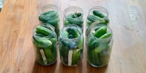 Ogórki kiszone - Polish fermented cucumbers - preparation-2